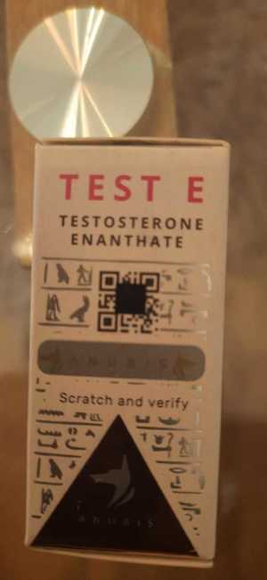 tester narkotykowy