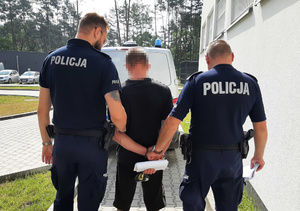dwaj umundurowani policjanci prowadzą zatrzymanego - widok z tyłu