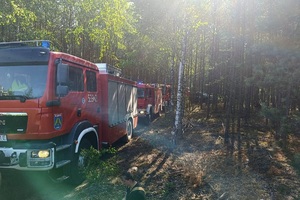 Samochody służb w lesie