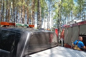 samochody służb w lesie