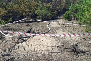Miejsce pożaru lasu