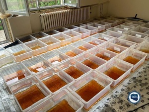 na zdjęciu widok na pomieszczenie, w którym ujawniono narkotyki w plastikowych pudełkach