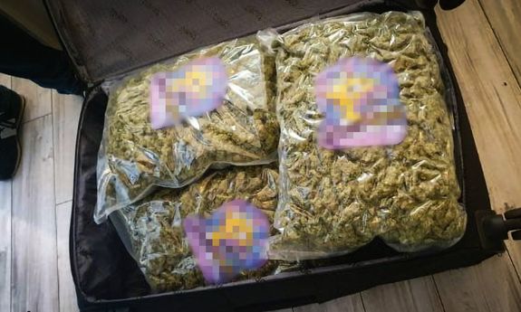 susz roślinny w paczkach, które umieszczone są w walizce