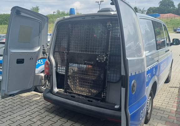 otwarte drzwi radiowozu
