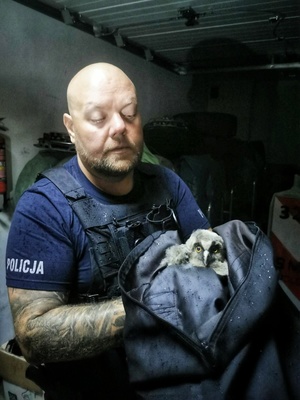 policjant trzyma sowę na rękach