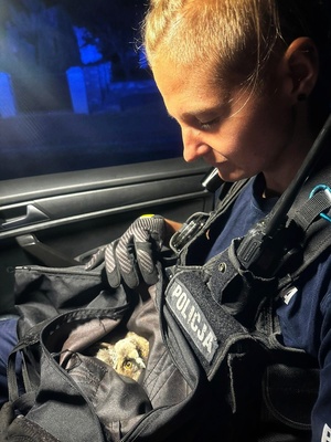 policjantka trzyma opatuloną sowę na rękach