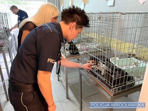 policjantka głaszczę zwierzę