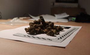 na zdjęciu zabezpieczona marihuana