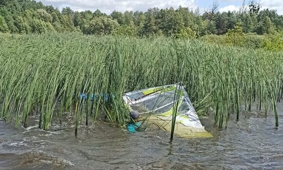 na zdjęciu deska windsurfingowa w zaroślach