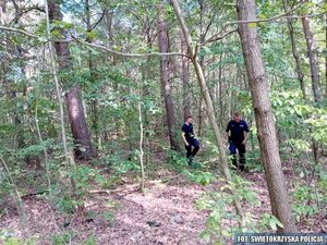 policjanci w trakcie przeszukiwania lasu