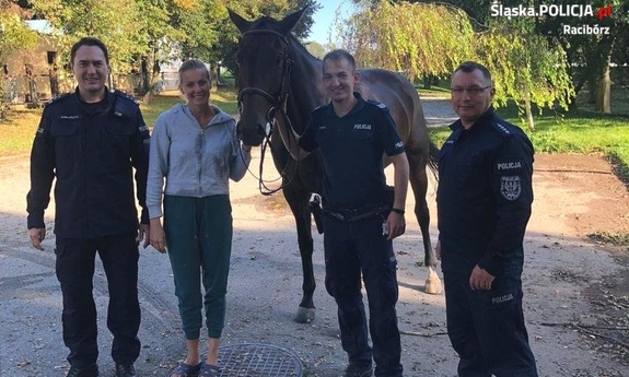 trzej policjanci i kobieta stoją przy koniu