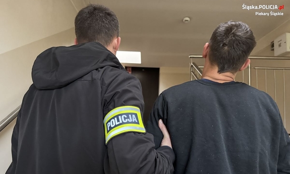 Funkcjonariusz prowadzi zatrzymanego mężczyznę. Obaj widziani od tyłu.