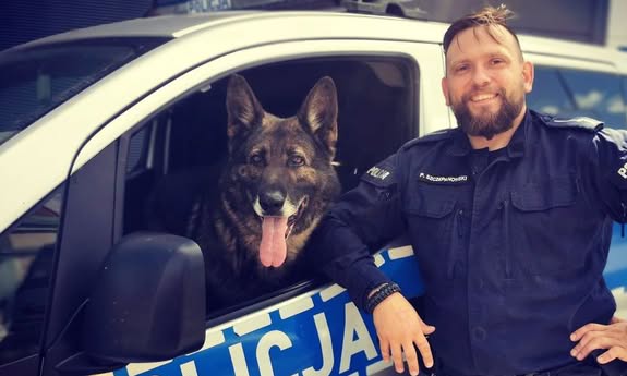w radiowozie siedzi pies, obok stoi policjant