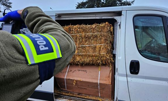 policjant robi zdjęcie busa pełnego tytoniu.
