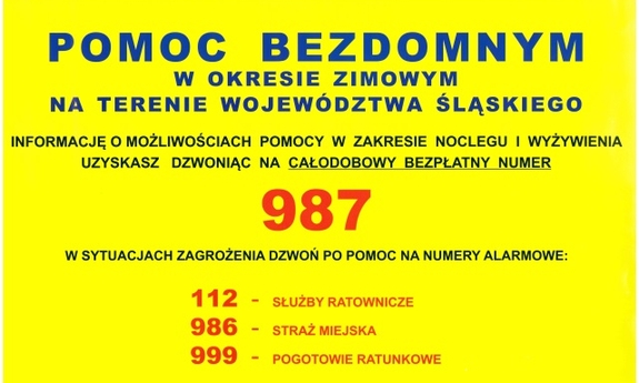 Infografika z numerami alarmowymi. Deskrypcja w załączniku.