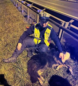 Na zdjęciu umundurowany policjant siedzi przy drodze z psem.