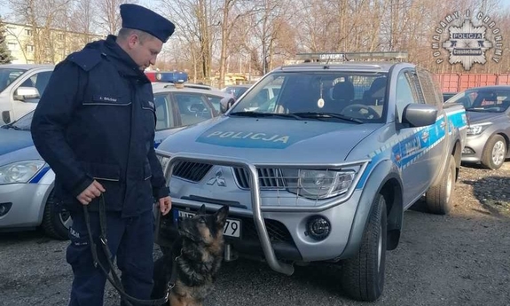Policjant z psem stoją przy radiowozie.
