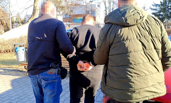 Dwaj nieumundurowani policjanci prowadzą zatrzymanego. Widok z tyłu.