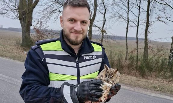 policjant trzyma na rękach puchacza.