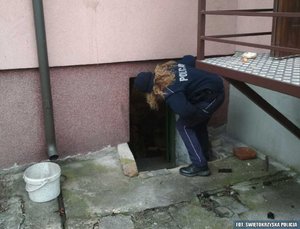 policjantka zagląda do piwnicy.