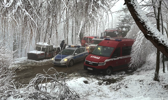 Pojazdy służb ratunkowych stoją na drodze.