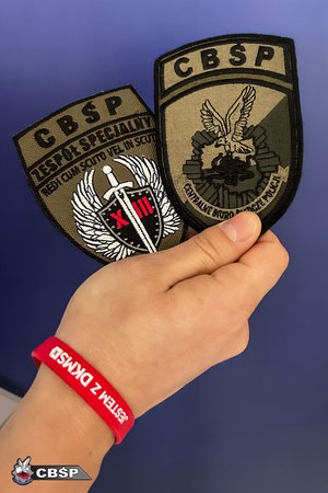 W dłoni trzymane odznaki CBŚP.