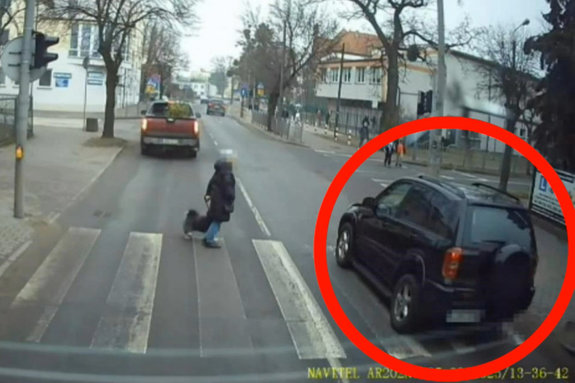 Kierowca, który wyprzedza na przejściu dla pieszych podczas gdy inny samochód przepuszcza idącą po pasach osobę.