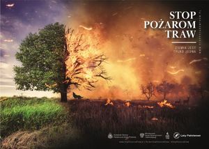 Plakat stop pożarom traw w tle płonące łąki i drzewa.