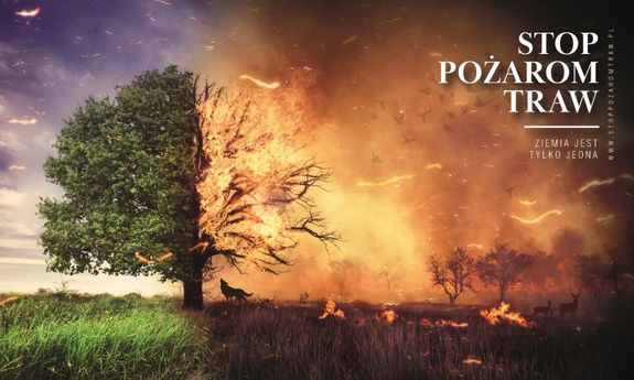Plakat stop pożarom traw w tle płonące łąki i drzewa.
