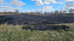 Widok na wypaloną trawę.