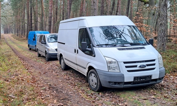 Busy stojąc na drodze leśnej.