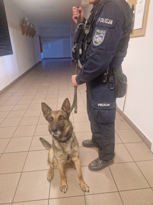 policjant w mundurze z psem