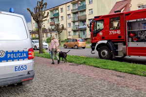 Służby będące na miejscu zdarzenia.