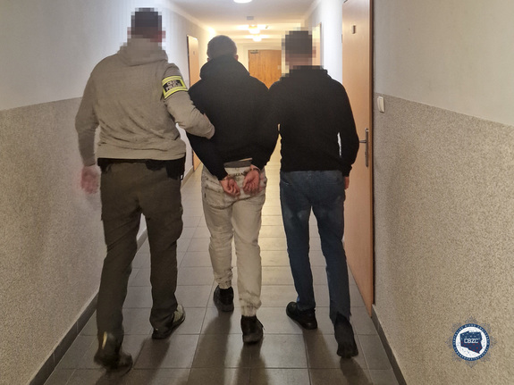 Dwaj nieumundurowani policjanci prowadzą zatrzymanego mężczyznę. Widok z tyłu.