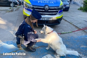 pies podaje rękę policjantce.