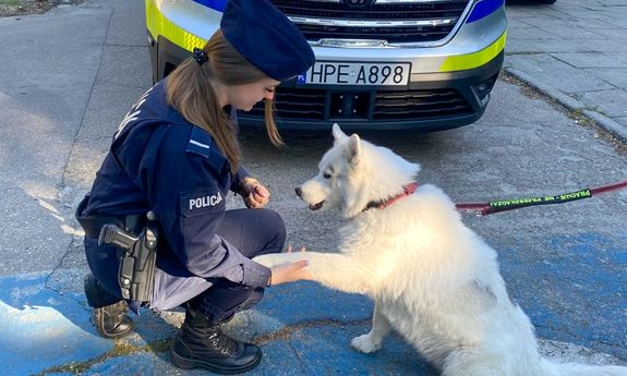 pies podaje rękę policjantce.