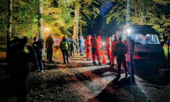 służby podczas poszukiwań w lesie.