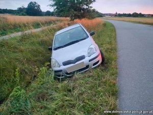 Auto w rowie.