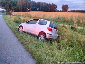 Auto w rowie.