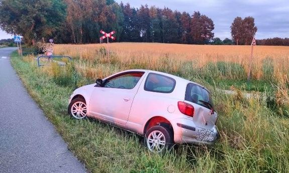Auto w rowie.
