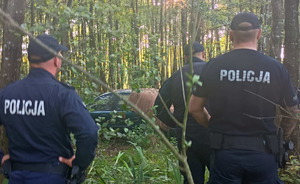 Trzej policjanci w lesie a w tle odnaleziony poszukiwany samochód.