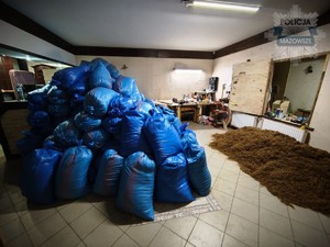 Worki z tytoniem ułożone jeden na drugim, pod ścianą tytoń luzem.