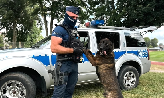 Policjant przewodnik z psem policyjnym przy radiowozie.