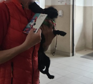Kobieta trzyma na ręce pieska w drugiej ręce trzyma książeczkę zdrowia psa.