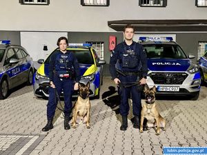 Policjantka i policjant z psami policyjnymi na tle radiowozów.