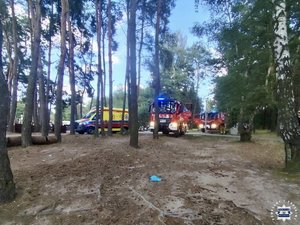 Wozy strażackie i karetka pogotowia wśród drzew.