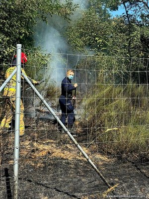 Policjantka i strażak podczas dogaszania pożaru zarośli przy drodze.