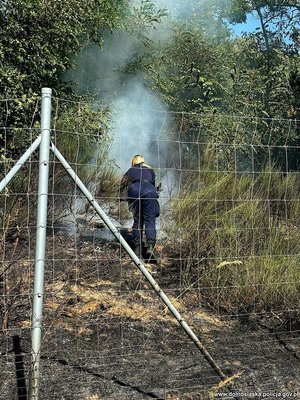 Policjantka podczas dogaszania pożaru zarośli przy drodze.