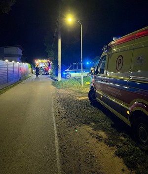 Karetka pogotowia, radiowóz policyjny i wóz strażacki na miejscu zdarzenia.