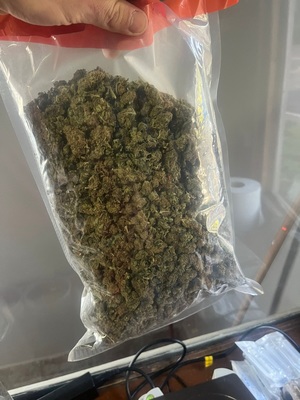 W foliowym woreczku marihuana.
